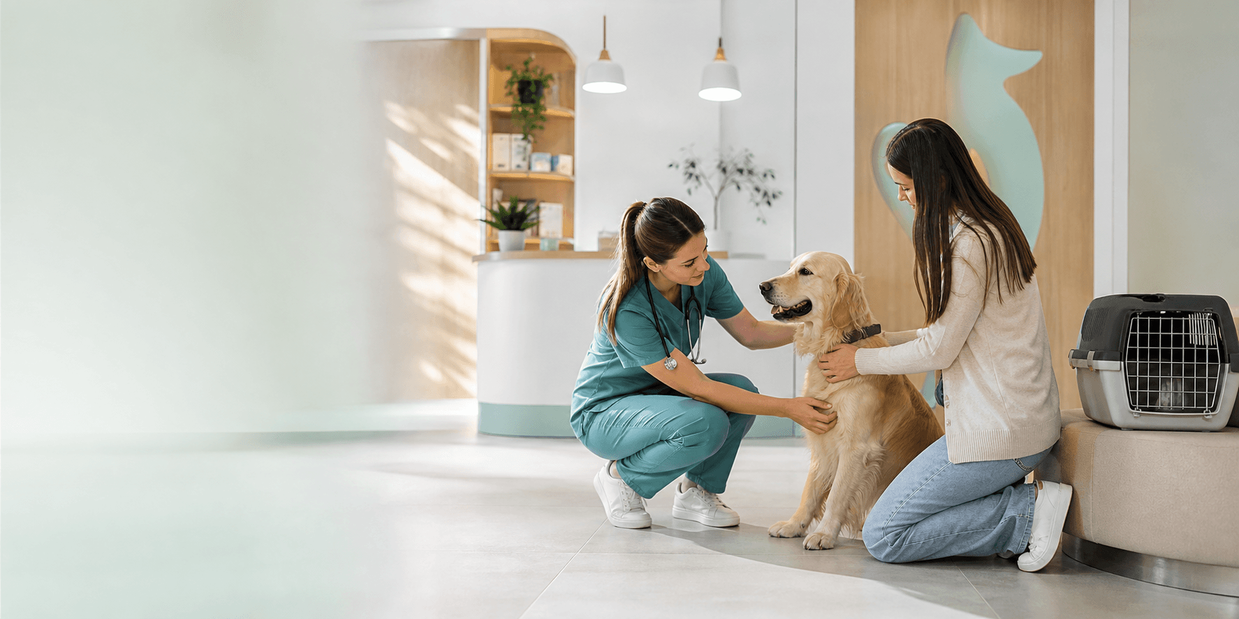 Medic veterinar examinând cu grijă un câine